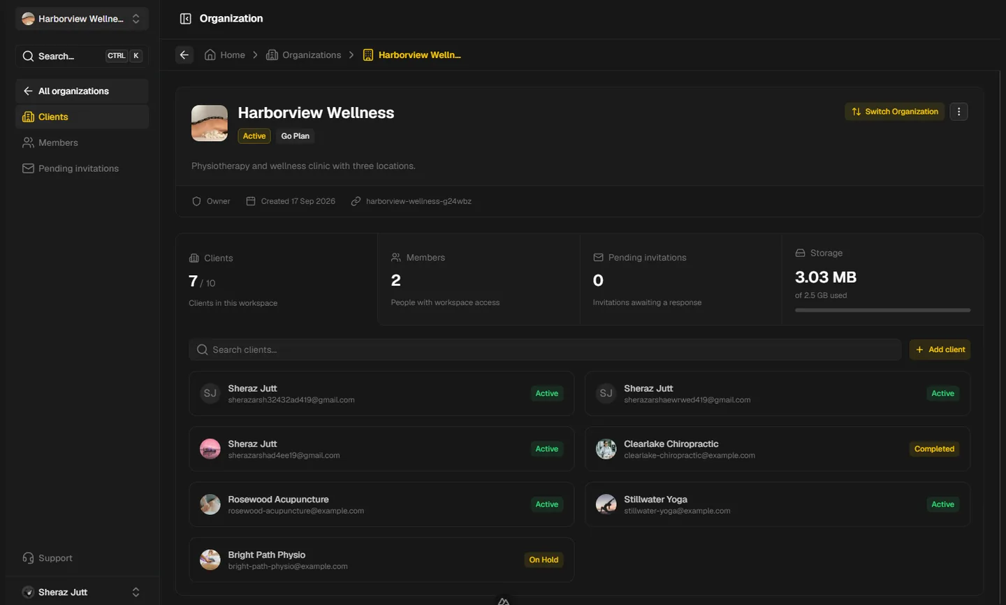 Organization overview with client, member, invitation, and storage totals above the client list