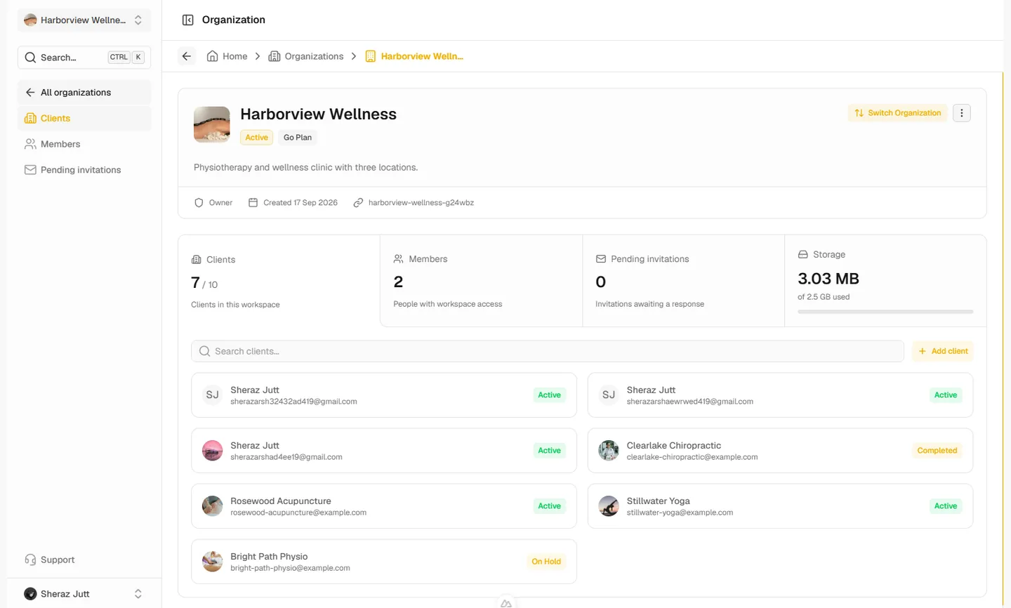 Organization overview with client, member, invitation, and storage totals above the client list